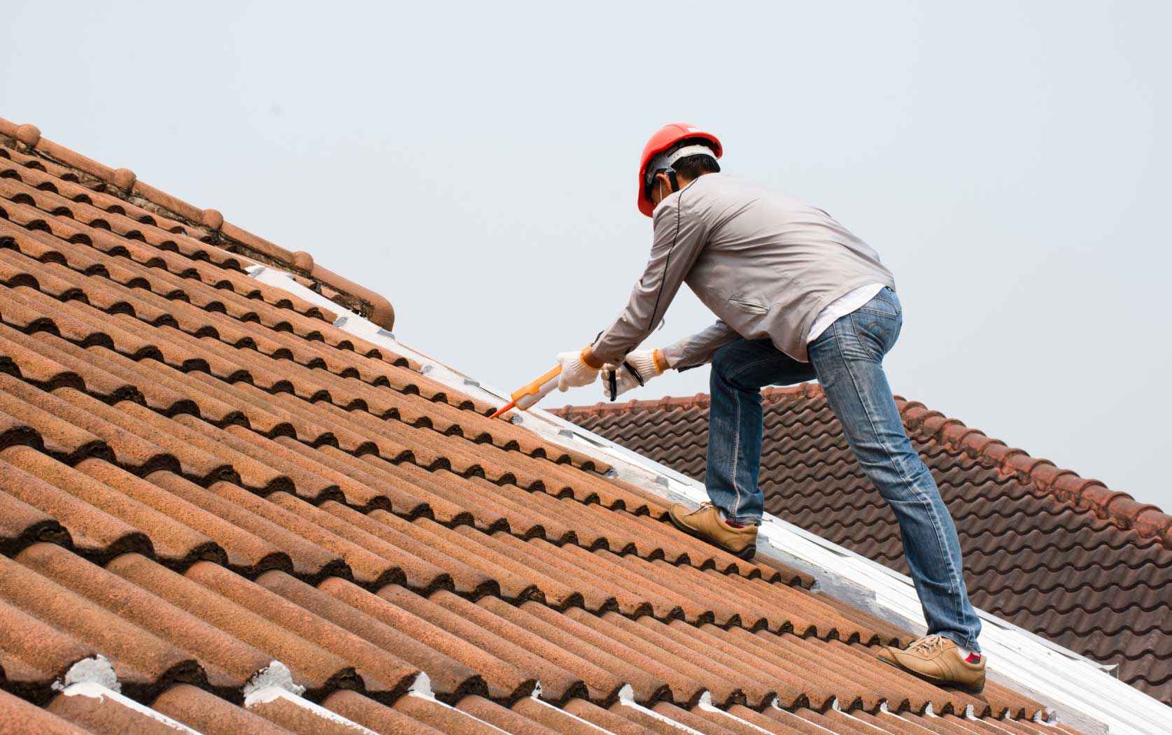 The Importance of a Strong Roof